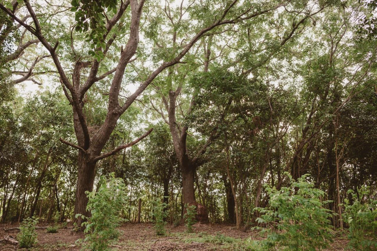 El Rincon - Casa De Campo Carmelo Ngoại thất bức ảnh